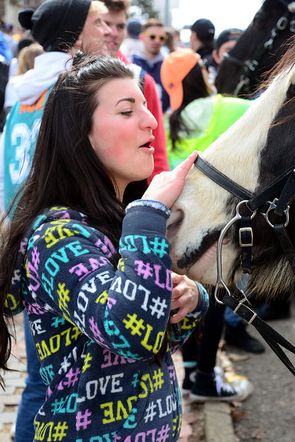 The horses are always crowd favorites