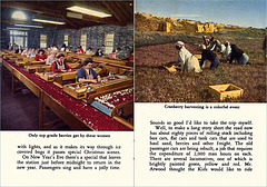 Edaville Postcard Booklet (5), 1949