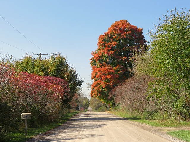 Country road