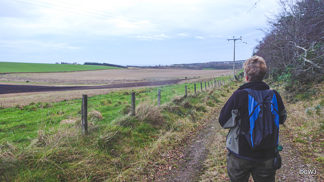 Path on the Earl of Seafield's estate