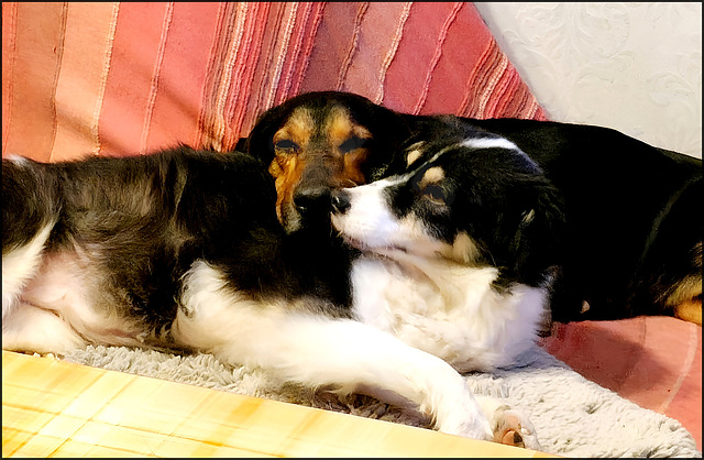 true love and a happy end ♥️