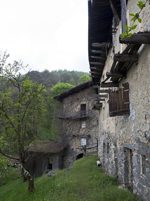 Abandoned houses in Riabella, where nature takes its spaces