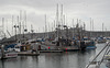 Pillar Point Harbor (#0070)