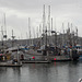 Pillar Point Harbor (#0070)