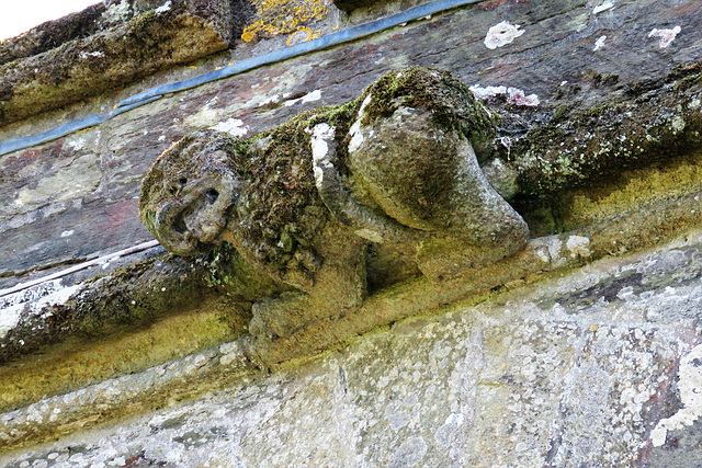 duloe church, cornwall (3)