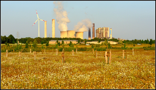 Power plant  nature