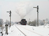 Kriegslok in the snow