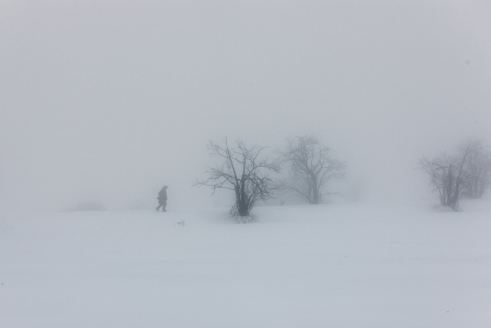 Spaziergang im Nebel -  20150101