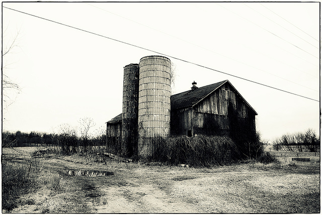 A Barn