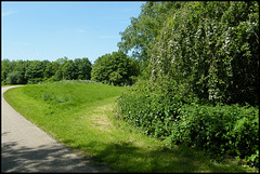 footpath through Grandpont