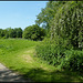 footpath through Grandpont