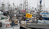 Pillar Point Harbor (#0072)