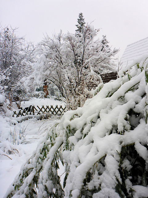 Wintergarten- heute Morgen in Deutschland