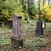 friedhof 2191