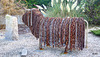 The Iron chain coo!
