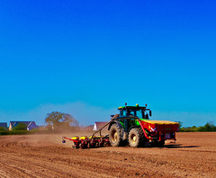 Preparing the maize