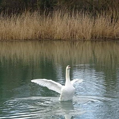 Time For Stretch.