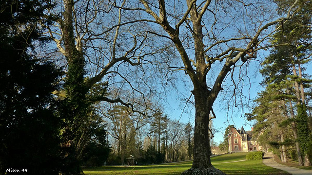 Le Clos Lucé à Amboise