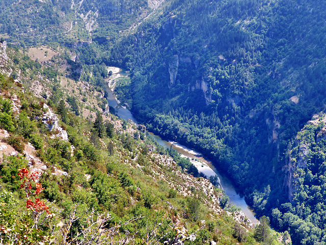 Gorges du Tarn