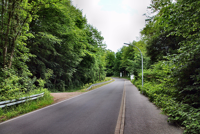 Kobbendelle (Dortmund-Kirchhörde) / 18.05.2024