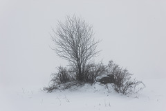 Insel -  20150101