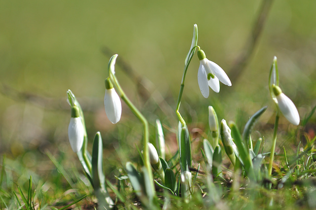 zickzackparkour in den Richtung Frühling