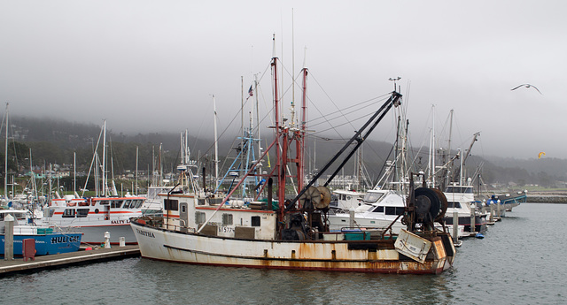 Pillar Point Harbor (#0076)