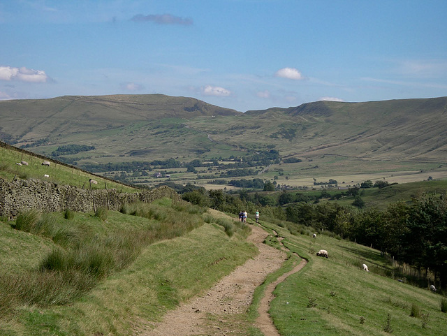 Pennine Way path ( view SE)