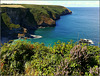 Above Fishing cove and on THAT path again