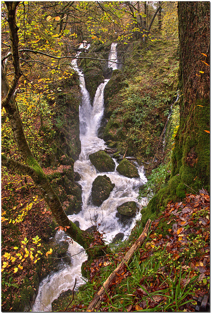 Stock Ghyll Force, Ambleside