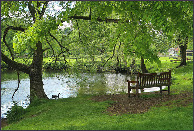 A.... 'Happy bench Monday'  ...to all,..   from Dj.