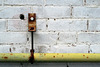 IMG 2458-001-Pipe