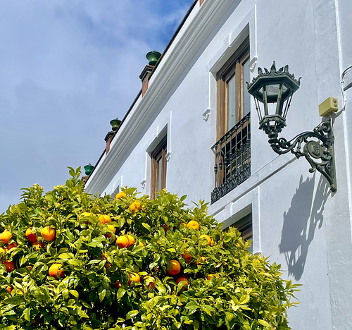 HWW Ronda Andalusia Spain 10th March 2025
