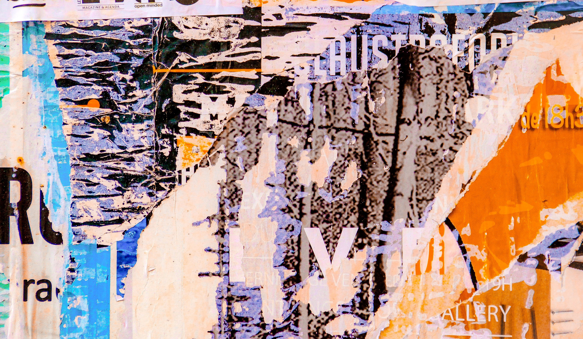 Signs and Patterns: open  minded