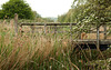 Bridge Over Combe River