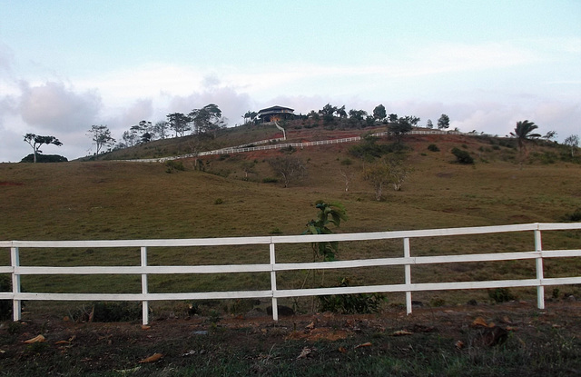 Clôture panaméenne / White panamanian fence