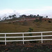 Clôture panaméenne / White panamanian fence