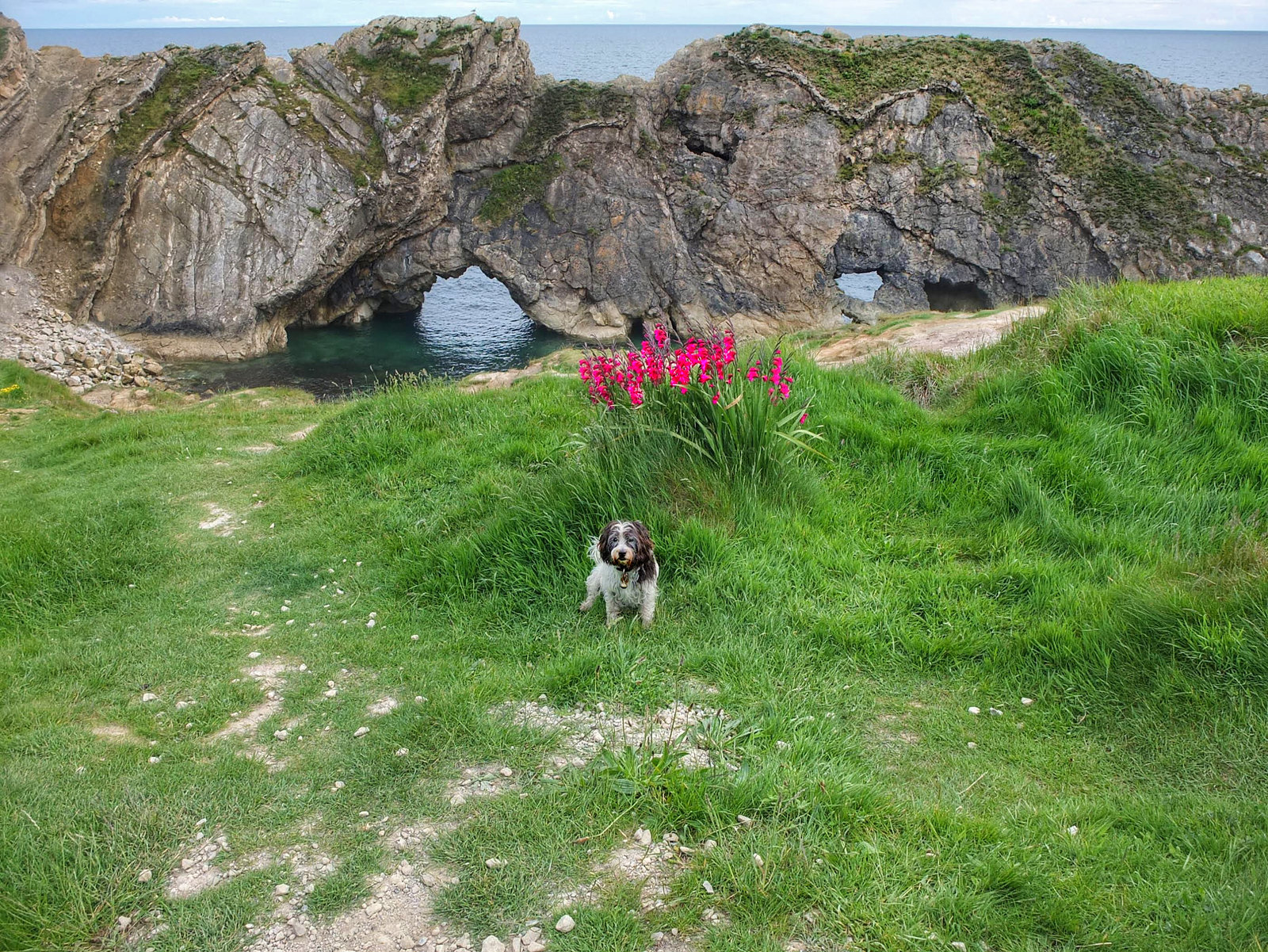 radish 23:5:2022 8 radish 23:5:2022 8