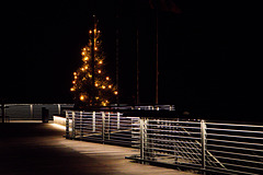 Ein letzter Gruß vom einsamen Weihnachtsbaum - HFF!