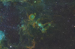 The Man on the Vespa