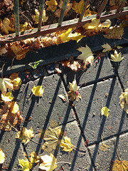 HFF - Let the Sunshine in