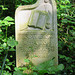 abney park cemetery, london,eric d. walrond, +1966, caribbean/harlem author