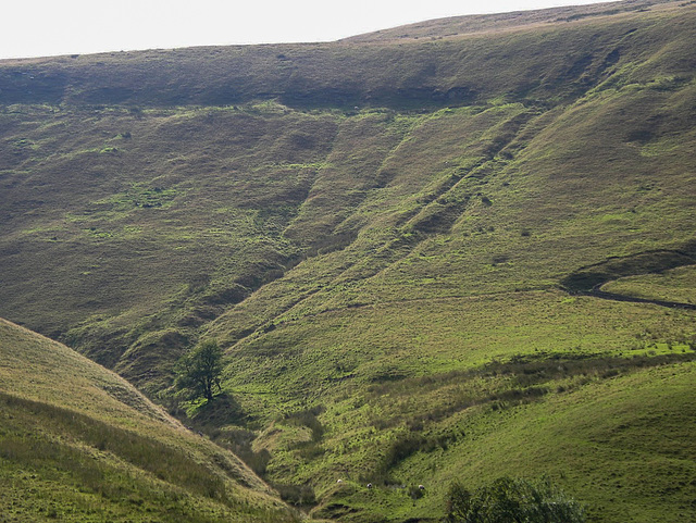 Below Brown Knoll