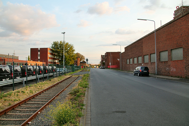 Weizmühlenstraße mit Hafenbahn (Düsseldorf-Hafen) / 30.08.2018