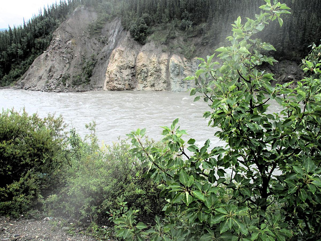 Also Nenana River