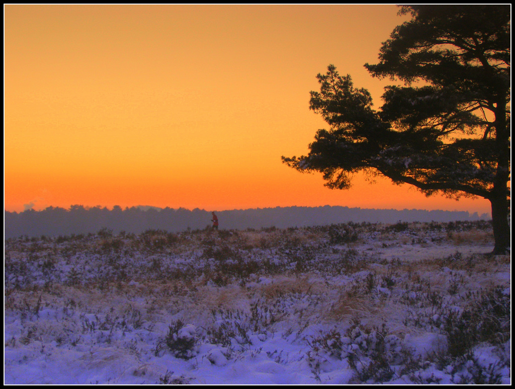 Jogging by  -10 degrees