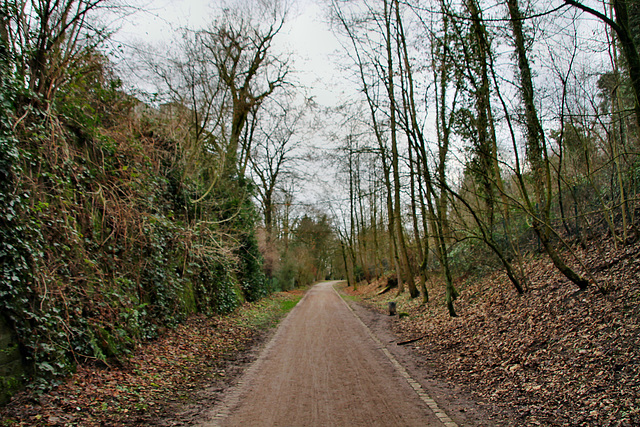 Ehemalige Trasse der Unteren Ruhrtalbahn (Mülheim-Broich) / 18.01.2021