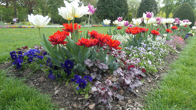 Quelques fleurs pour notre amie Marie-Claire...