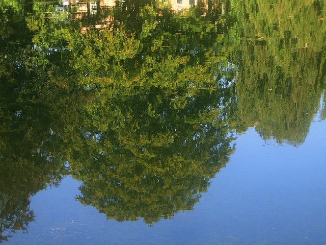 Veluwe