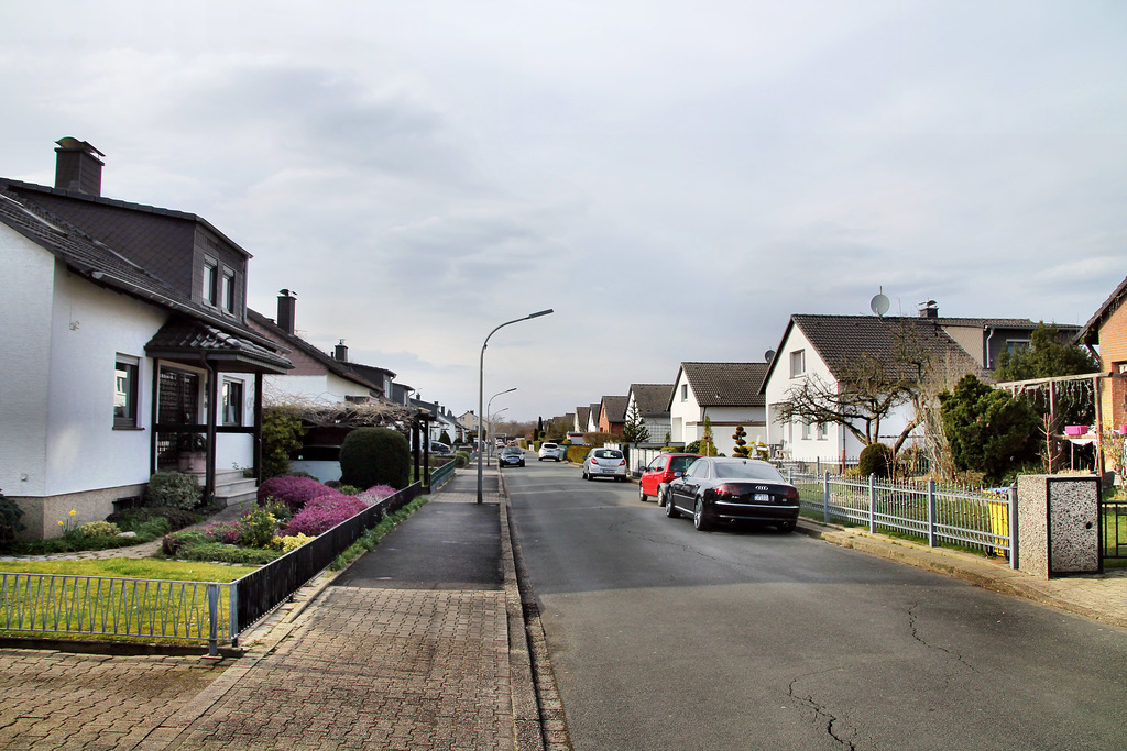 Hinnenberg (Dortmund-Lanstrop) / 12.03.2022